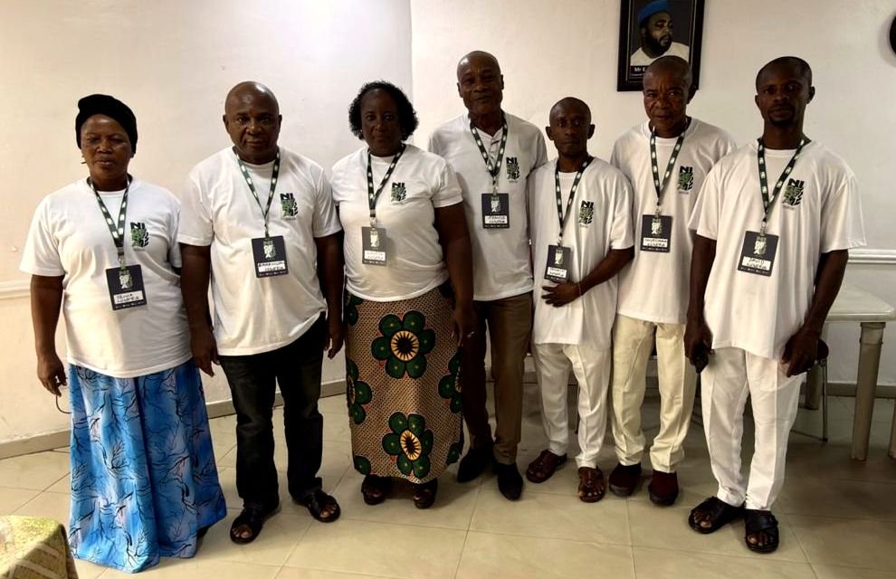 Sete irmãos nigerianos, homens e mulheres, de camiseta branca e crachá, posam juntos num salão.